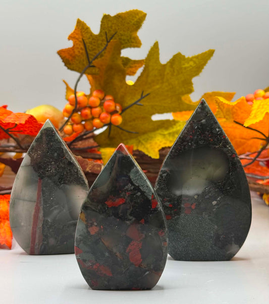 African Bloodstone Arrowhead - Twysted Treasures