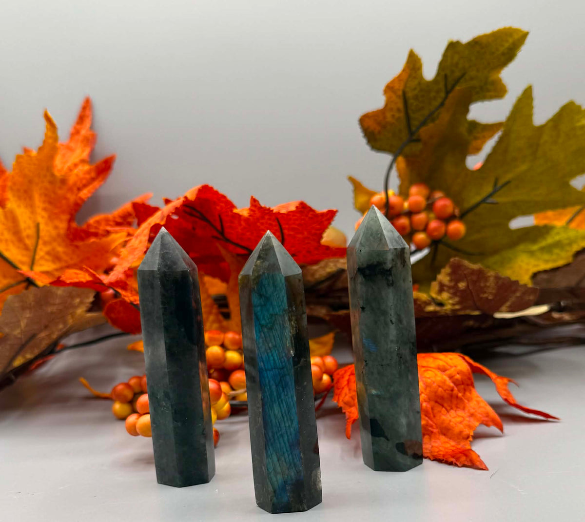 Labradorite Tower Point - Twysted Treasures