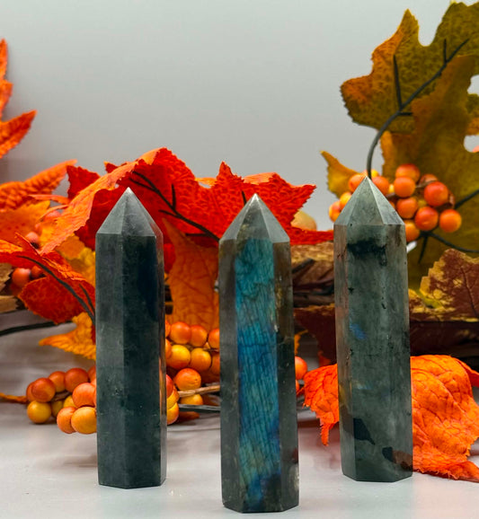 Labradorite Tower Point - Twysted Treasures